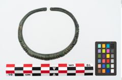 Foto von Bronzearmreif (NHMW-PRAE-025660)